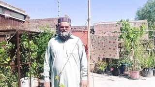اج ہم نے اپنی چھت سے کون سے دو نئے پھل اتارے