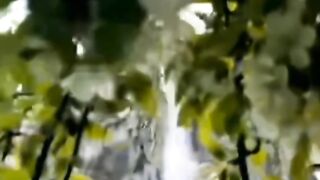 Lovely nature