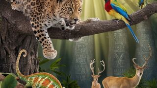 Unveiling the Secrets of Extraordinary Wildlife