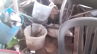 Abang saya cacat