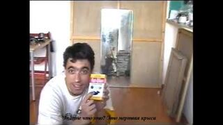 The last minutes in the life of a New York immigrant artist in September 2001