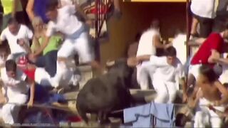 Animaux sauvage