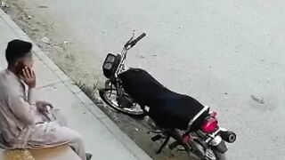 چہرے کتنے واضح ن