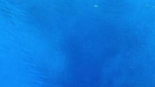 "Journey with Dolphins: Exploring Ocean Wonders"