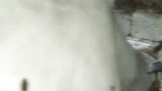 The speed of a train