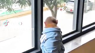Smart baby monkey