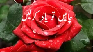 Good flower