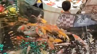 Carp Café in Chiang Mai