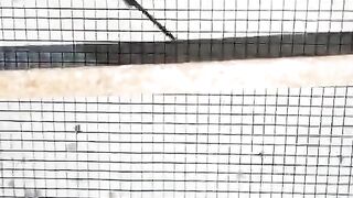 In the cage ll three cages