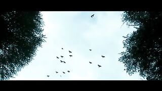 Command - Karan Fight With AKS Gang In Jingle