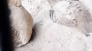 Playing in the mud