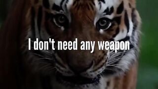 Attitude Motivation