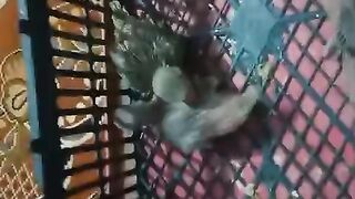 That karate