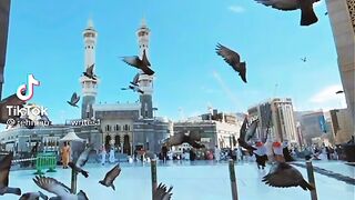 Hazart Muhammad (S.W)