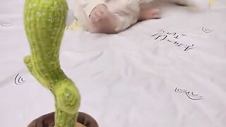 Kids funny video