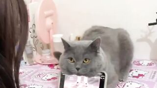 Asoweme CAT