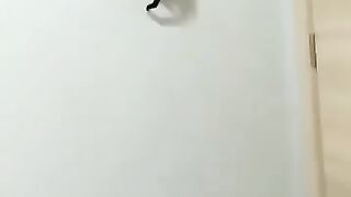 Funny animals video