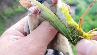 Cute animals ????#febspot #fun