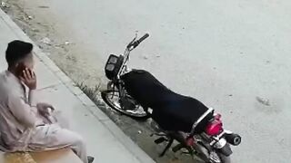 Poor fella. How come police can't catch them?