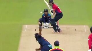 Crazy good catch by cricketer