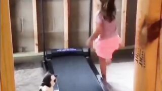 Little girl teaches cat how to use a treadmill