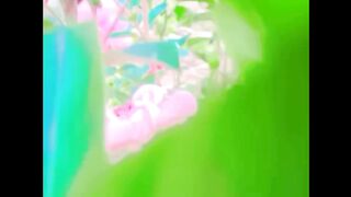 Real flowers vedio in home