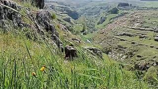 Lebanon in Bloom:The Beauty of Spring in the Land of Cedar