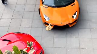 Luxury Life | Part 8