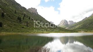 جبال وشجيرات