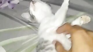 Part 1