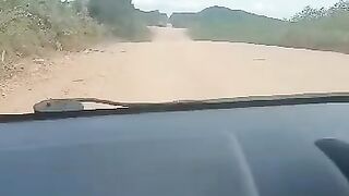 Hati hati Jalan hutan ini sangat sepi