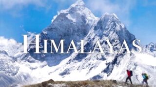 Flora diversity in Himalayas