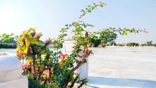 It's time to enjoy the historical place