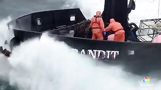 Deadliest catch 1