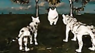 Funny rabbit