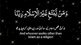 Surah Al-Imran | Quran recitation | Quran translation | Tilawat | Merry Reviews