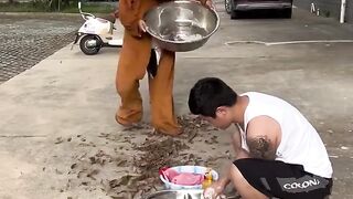 Video lucu