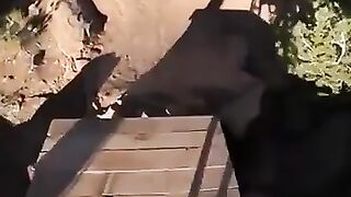 Mountain bike in perfection, a brilliant trail