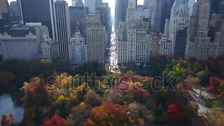 Flowers, buildings and residential towers