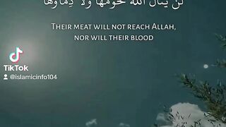 Quran # #quran #trending #viral #shahzor #shorts #fespot # iNFO