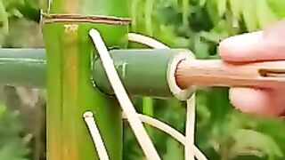 Wonderful_Craft_With_bamboo_#DIY_#Bamboo_#Slingshot