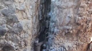 Man just escaped mountain Lion attack