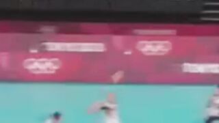 Volibal fans