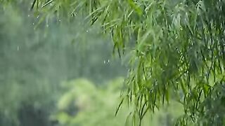 Rain in Bali Indonesia