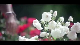 Dil Ne Ye Kaha Hai Dil Se ((Love Song)) Dhadkan | Udit Narayan | Alka Yagnik | Kumar Sanu