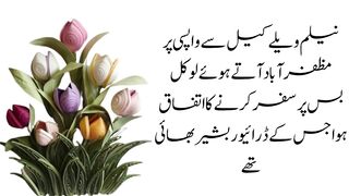 Urdu Stories Kahani ! Urdu Horror Story ! Urdu Story Hub