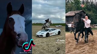 THE FUNNIEST HORSE TikTok Compilation 2022