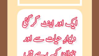 دیوارِ حیات