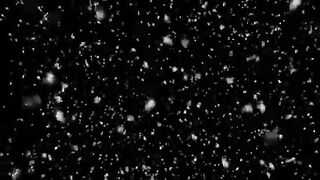 Snow, snow and snow