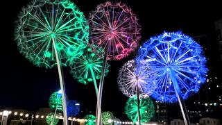 New Year 2023 in Dubai | Happy New Year